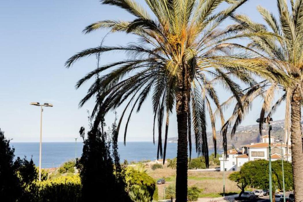 New Apartment Sherezade Tenerife プエルト・デ・ラ・クルス エクステリア 写真